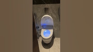 I fell in LOVE with a #BIDET in JAPAN