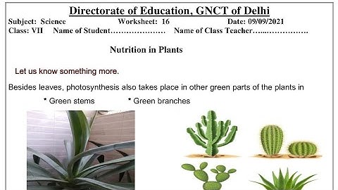 Science Worksheet 16 Class 7 (9/9/21)English Medium / Worksheet 16 Science Class 7/Worksheet Sci 16