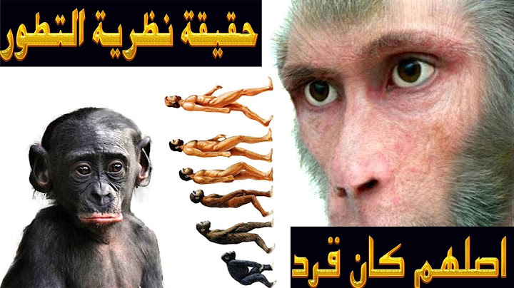 بعد فحص الـ DNA تبين أن اصلهم قرود (نظرية التطور)