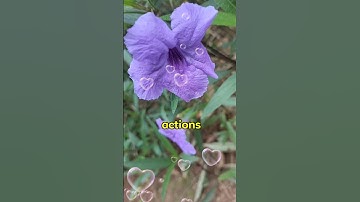 The 1-Minute Rule That Boosts Your Life #shorts #Productivity #LifeHacks #Motivation #shortsfeed