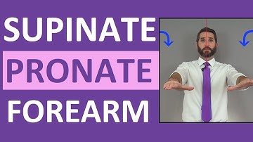 Supination vs Pronation Movement of Forearm, Hand Anatomy Review