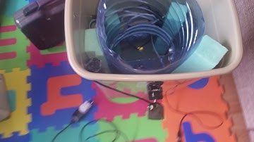 24 catchen, raspberry p3 cat feeder