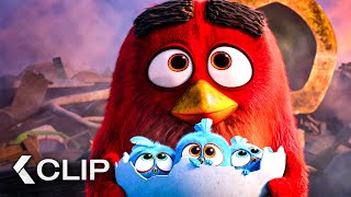 Cómo Red Se Convirtió En El Héroe Del Día - Angry Birds La Película Clip 2016