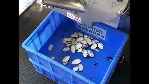 Eggplant Cutting Machine: 3 MM Slices