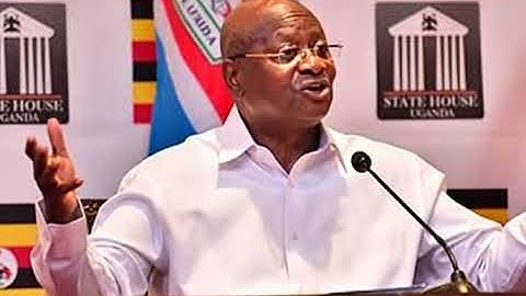 grok video ee07cd17 8ee2 4632 895a c2110926430b