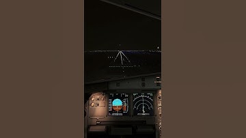 Night Landing at Abu Dhabi - Piloting a Fenix A320 to a Calm Touchdown - MSFS 2020 #shorts