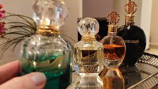 :  ROBERTO CAVALLI  !        !
