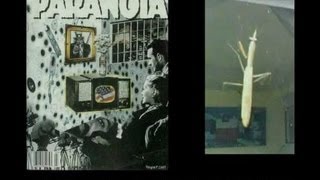 Paranoia - A Real Insect Or A Surveillance Drone ???