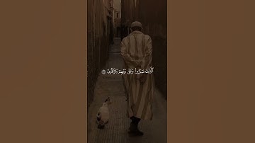 #قران #quran #قران كريم #Allah #اللهم صلي على نبينا محمد