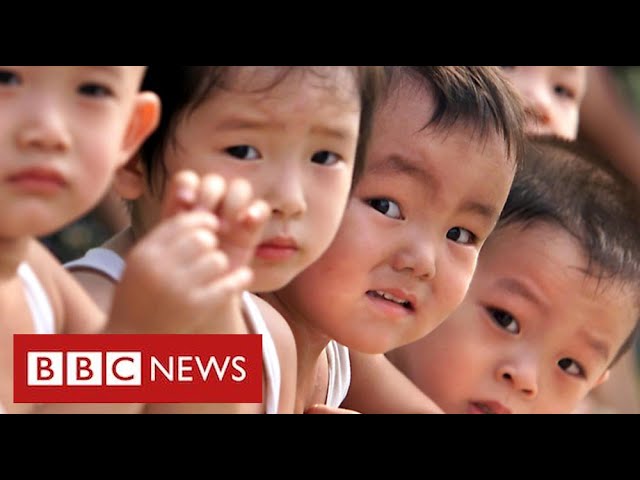 Why China has fallen in love with a baby radish monster - BBC News