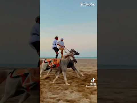 عرضة خابوره