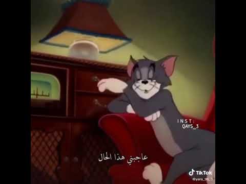 تم تحميل الفيديو حالات واتس اب تيك توك اغنيه عاجبني هذا الحال