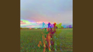 Charming Backdrops for Safe Doggies