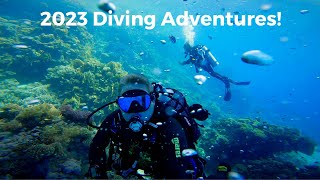 SHARKS, SUN, SEA, SCUBA & SERIOUS FUN! 2023 Diving Adventures by Ayaan Chitty 198 views 4 months ago 7 minutes, 42 seconds