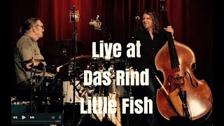 Hotel Bossa Nova - Little Fish - Live at Das Rind