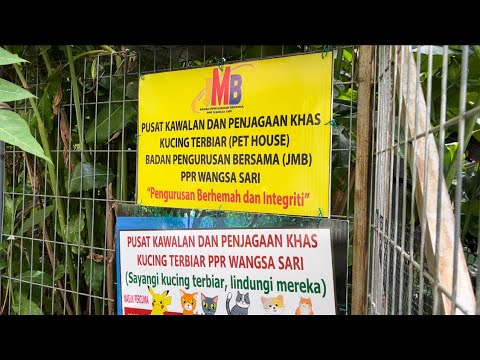 Video: Penjagaan Bermusim: Tempat Perlindungan Rhododendron untuk Musim Sejuk