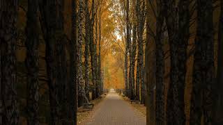 A Morning In Cornwall