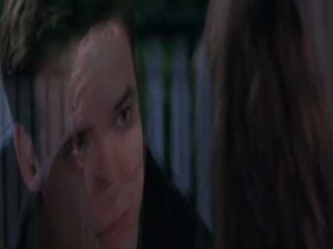    3 تامر حسنى ديما معاك