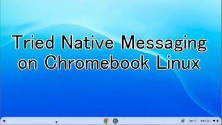 Tried Native Messaging on Chromebook Linux screenshot 4