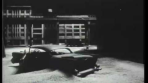 Turtle Dreams (Complete)