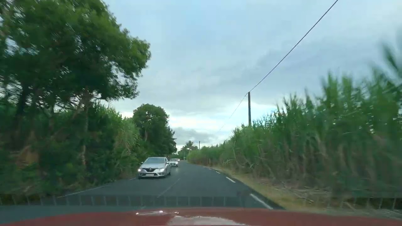 Ile de la Réunion, Bois Blanc - Piton Ste Rose