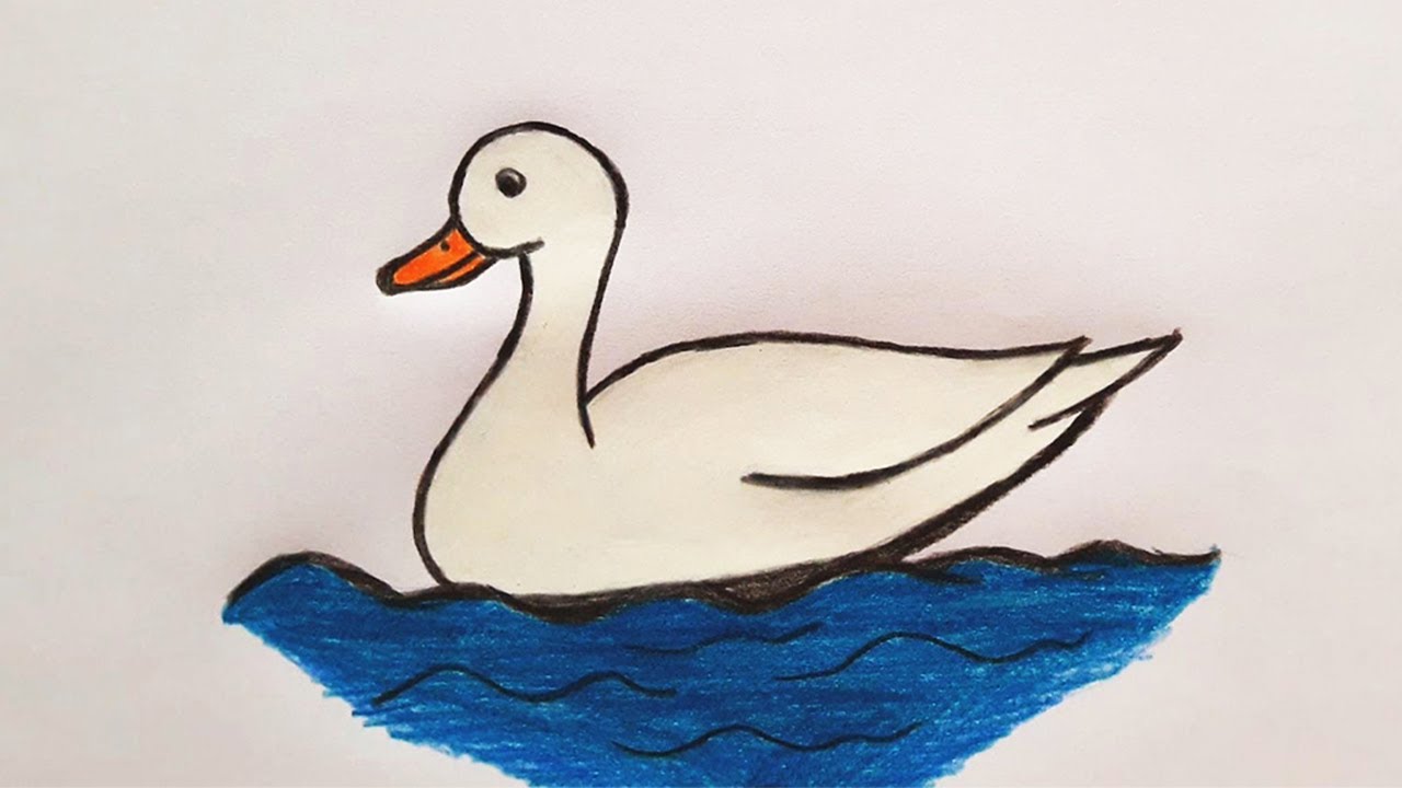 duckling drawings