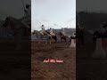 من فعاليات مهرجان سيدي موسى المجدوب في نسخته الأولى 2025 من فعاليات مهرجان سيدي موسى المجدوب في نسخته الأولى 2025