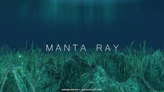 Manta Ray – Breaking the UUV mold