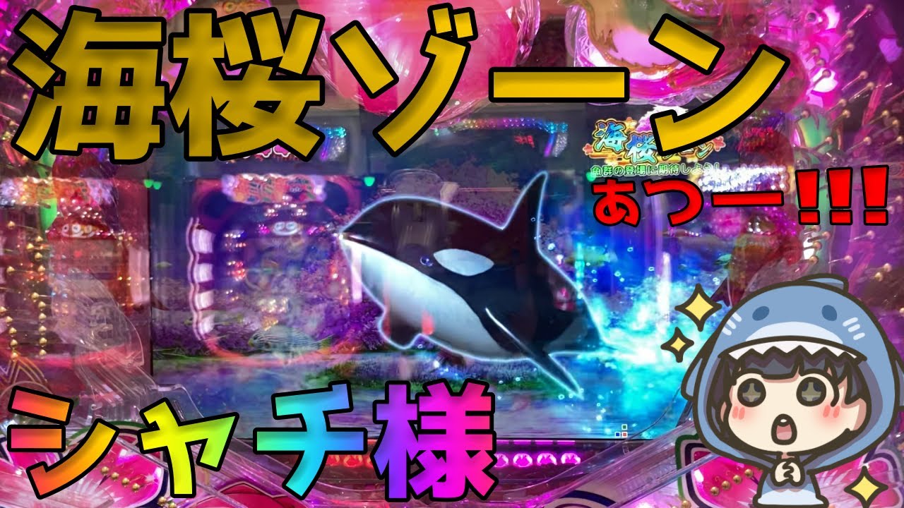 Pスーパー海物語IN沖縄5 桜199ver.】海桜ゾーン中にあち