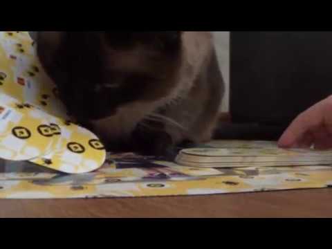 Играем в карточки миньоны "Гадкий Я 3". Кот нам ПОМОГАЕТ))) Играем в карточки миньоны "Гадкий Я 3". Кот нам ПОМОГАЕТ)))