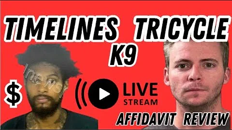 CONNECTED TIMELINES & K-9! TRICYCLE & SIGHTINGS! AFFIDAVIT REVIEW! #michaelvaughan