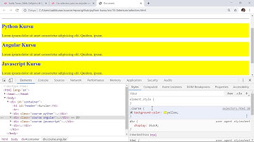 Python - Selenium Selector
