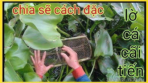 Chia Sẽ Cách Đặc Lờ Cá Cải Tiến /Định Nguyễn Hậu Giang