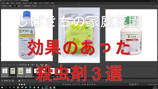 家庭菜園 効果のあった殺虫剤３選 2021年04月12日