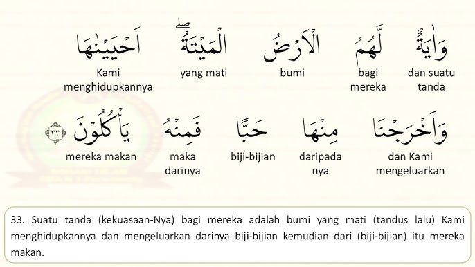 Jinsiy aloqa paytida jinsiy olatni tushib ketadi, keyin esa oxiridan tomiza boshlaydi.