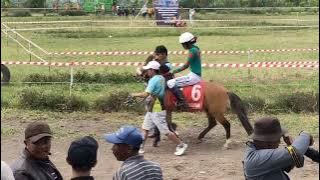 race 1-10 pacuan kuda ledug memorial Mbah Bakir