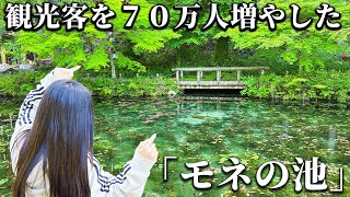 【17/283】岐阜県在住夫婦が伝説のモネの池を観に行ったら想像以上だった