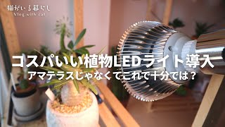 コスパの良い植物育成LEDライトを初導入する / なぜ皆アマテラスなのか【MORESENの植物LEDライト】