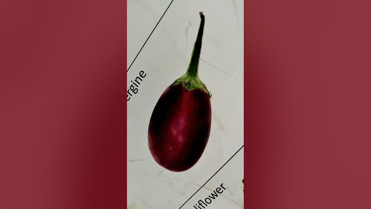 beigan-tamatar-simla-mirchi-short-video-vegetables-hindi-name-with