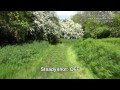 Stabiliser test: Sony HDR-CX900 stabilizer