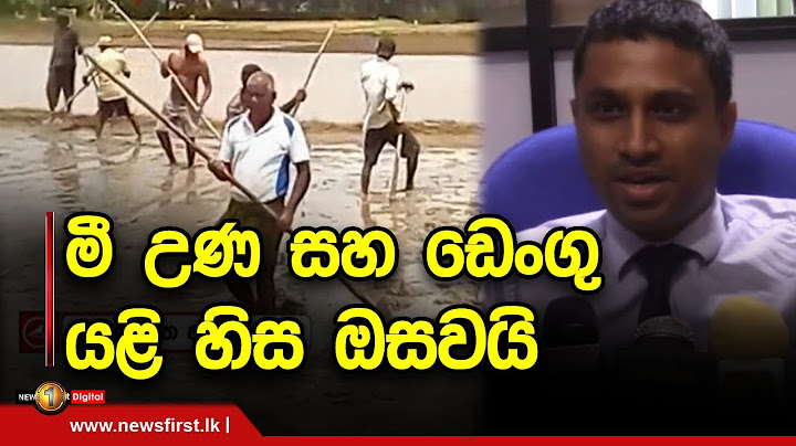 මී උණ සහ ඩෙංගු යළි හිස ඔසවයි  සැලකිලිමත් වන්නැයි බලධාරීන්ගෙන් උපදෙස්