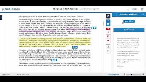Accessing Your Grades and Feedback in Turnitin Via Canvas