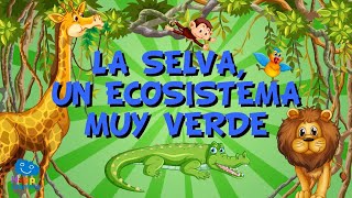 LA SELVA, UN ECOSISTEMA MUY VERDE