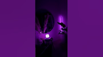 WiZ Hero lamp isn´t the hero I want, but the one I need 😌#WiZLighting #SmartLighting #HomeDecor