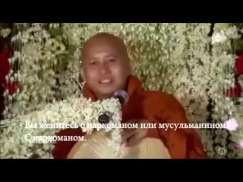 Видео: Заметки о бирманском монахе - Сеть Матадор