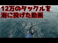 12万のタックルを海に投げた動画