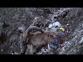 Bow Hunting World Record Dagestan Tur