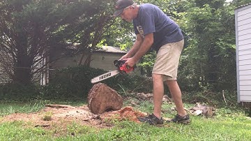 Michael’s Ported Echo cs2511t