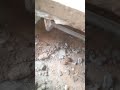 3" Pvc Pipe work in floor.