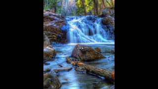 Whatsapp Üçün Yeni Video Və Mahnı 2021 Mp3